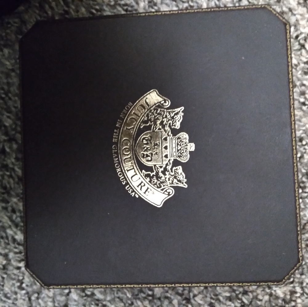 Juicy Couture bracelet (broken)